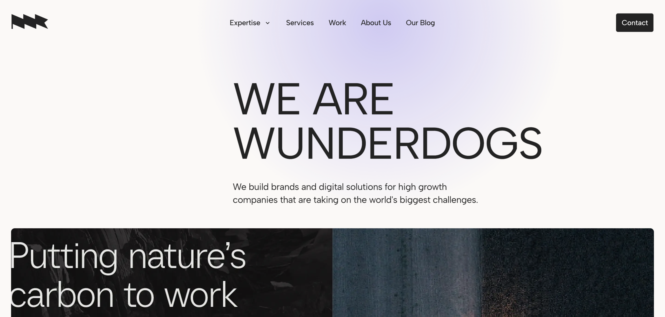 Wunderdogs